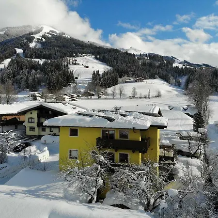 Apartament Haus Alpen Melody Holzham 57 Westendorf